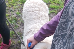 IMG_20240405_175714-scaled