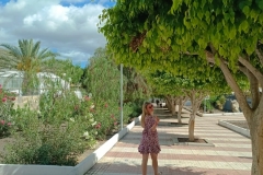 IMG_20240501_164629-scaled