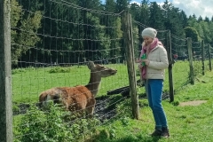 IMG_20240929_130524-scaled