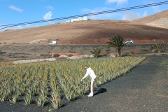 IMG_20250301_105454-scaled