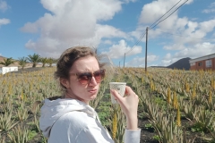 IMG_20250301_105650-scaled