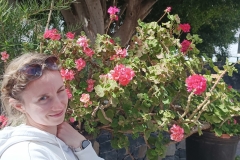 IMG_20250301_135011-scaled