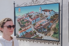 IMG_20250301_135324-scaled