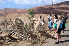 IMG_20250301_143232-scaled