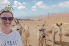 IMG_20250301_143320-scaled