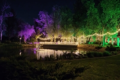 IMG-20250623-WA0009-1